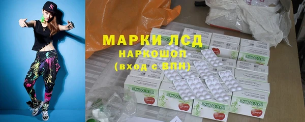 прущие грибы Новозыбков