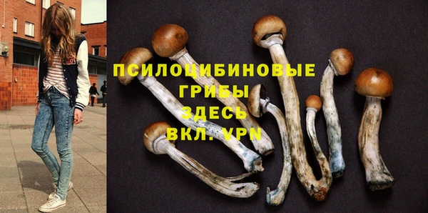 эйфоретик Абинск