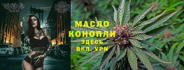 дмт Алексин