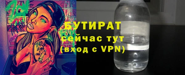 прущие грибы Новозыбков