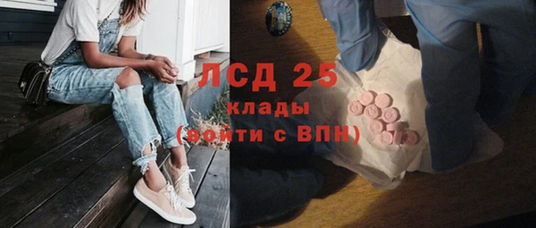 сатива Абаза