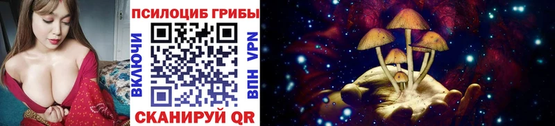 hydra ТОР  Каменск-Уральский  Псилоцибиновые грибы Magic Shrooms  цены наркотик 