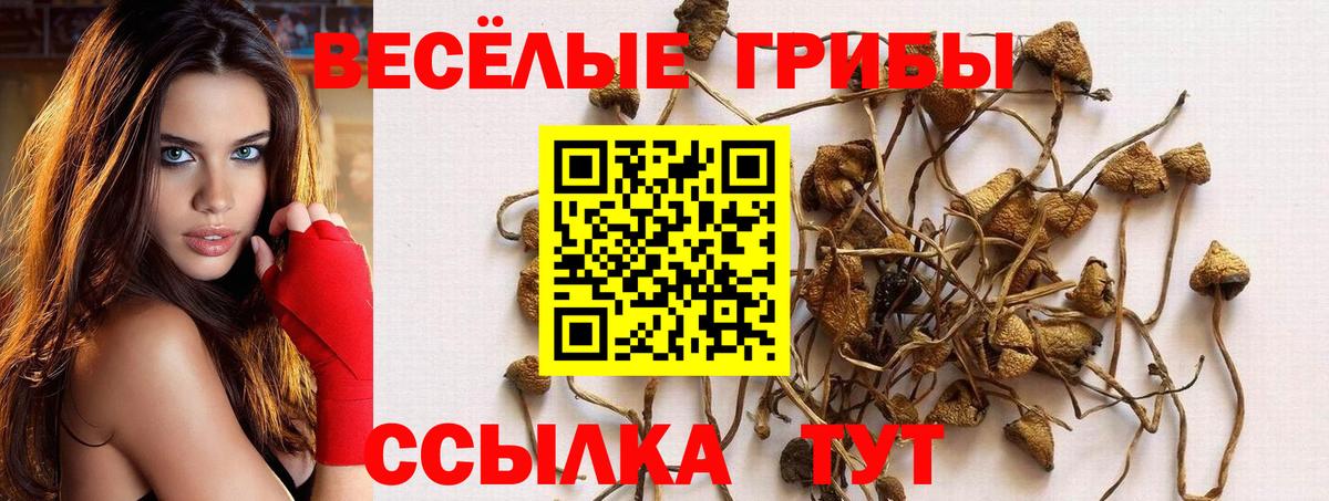 Псилоцибиновые грибы Magic Shrooms  Вход с VPN  Каменск-Уральский  магазин    Галлюциногенные грибы мухоморы 