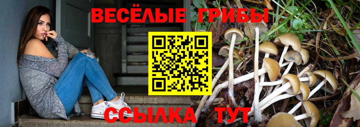 Псилоцибиновые грибы Cubensis Каменск-Уральский